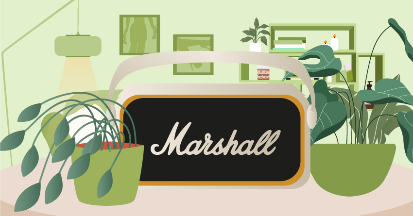 Marshall speakers