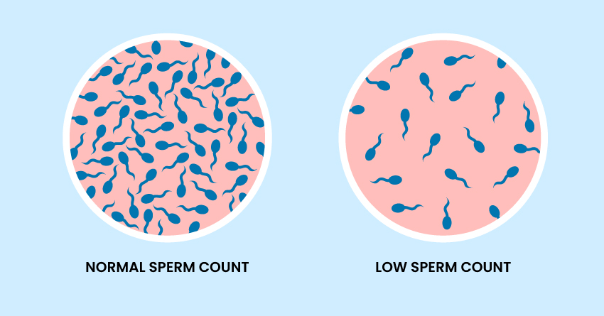 You might have a low sperm count.